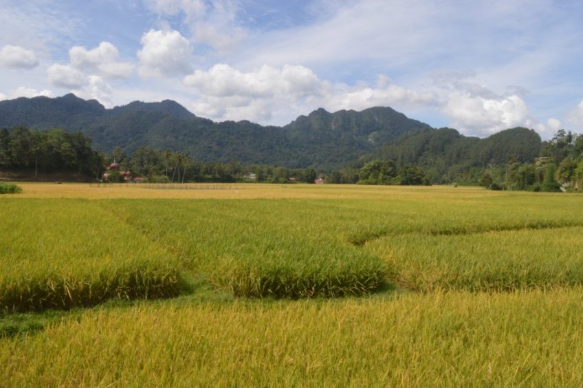 Na skok do Harau Valley