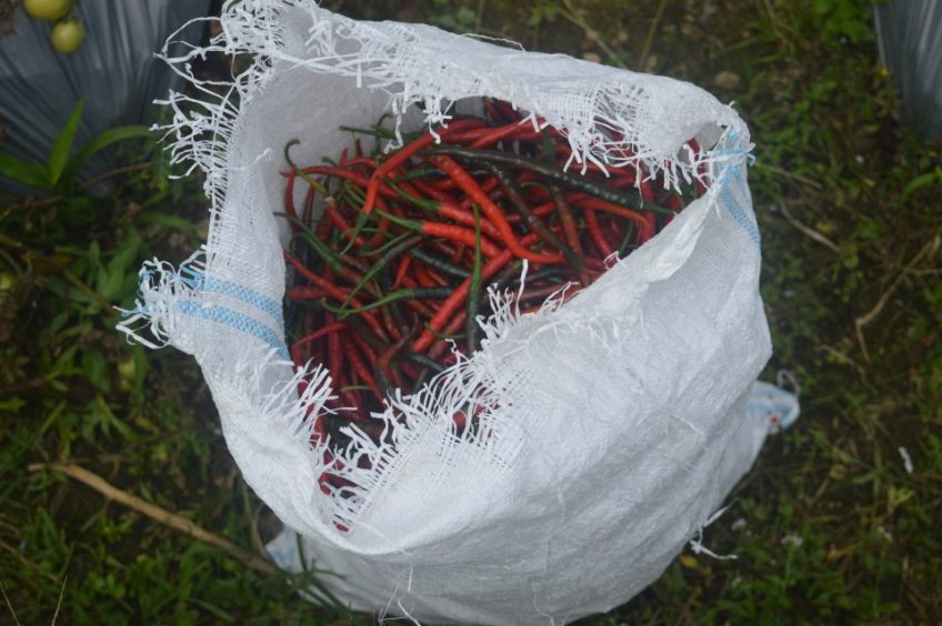 Rurální a klidný střed Lomboku