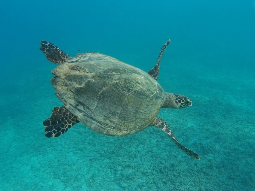 Kainráci a Gili Islands – když je najdeš, není co řešit