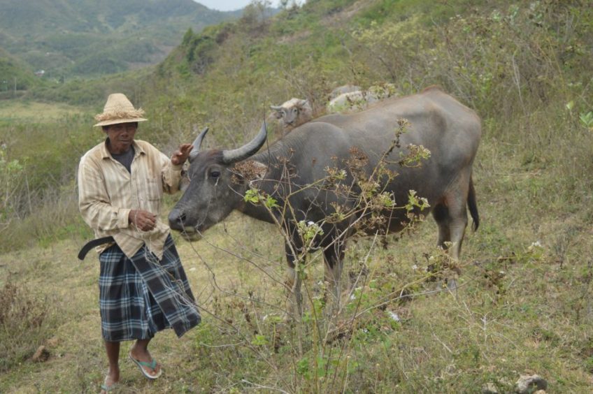 Kuta podruhé, tentokrát v jiném světle