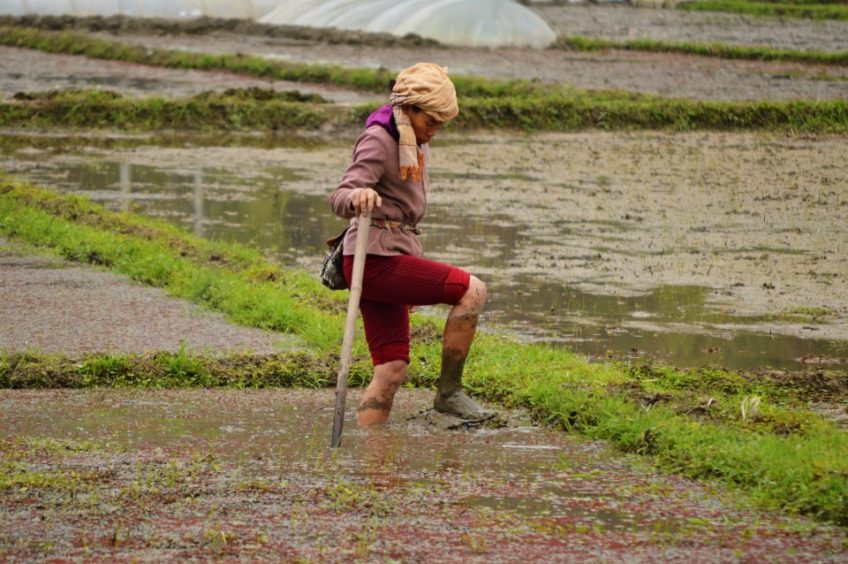 Za zeleninou do Mai Chau